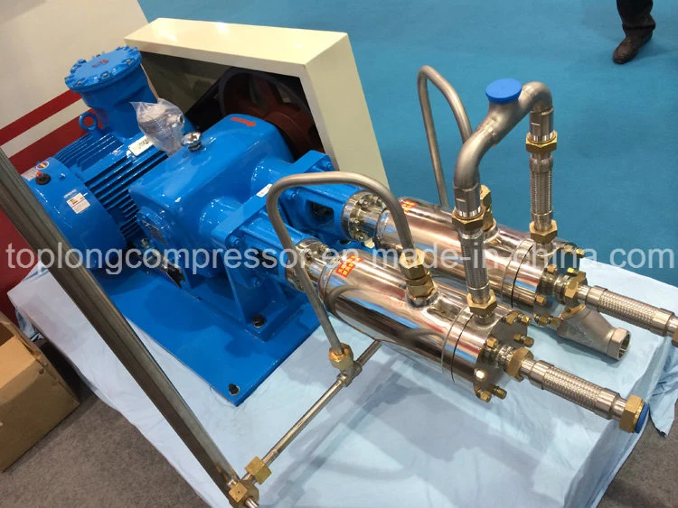 Cryogenic Liquid Cylinder Filling Pump (Svmb300-600/165)